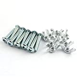RuiLing 10 Sets Screw Bolts with Wing Nut Kit Zinc Plated Carbon Steel Mounting Hardware Fitting Fastenings- 10pcs 1/4'-20 Hand Tighten Wing Nuts + 10pcs 1/4'-20 x 1-1/4' Phillips Head Screw Bolt