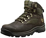 Timberland Men's Chocorua Trail Mid Waterproof Snow Shoe, Brown/Green, 9 D - Medium