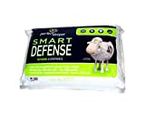 Serta Standard/Queen Bed Pillow (2 pack)