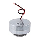 Walfront Resonance Speaker,1Pcs 50MM 2Inch All Frequency Resonance Speaker Vibration Strong Bass Louderspeaker (4Ω,25W)