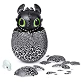 Dreamworks Dragons, Hatching Toothless Interactive Baby Dragon with Sounds, for Kids Aged 5 & Up