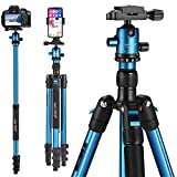 MACTREM Professional Camera Tripod DSLR Tripod for Travel, Super Lightweight and Reliable Sturdy, Ball Head Tripod Detachable Monopod with Phone Mount Carry Bag, 21.5' to 62.5', 33lb Load